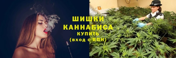шишки Абдулино