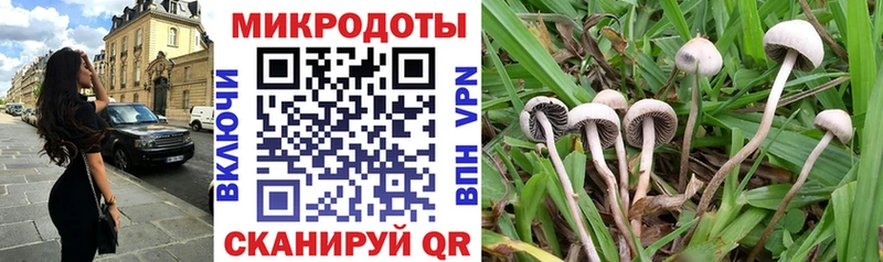 Псилоцибиновые грибы Cubensis Орск